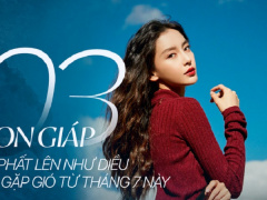 Ảnh bìa bài viết 625203