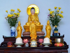 Ảnh bìa bài viết 625109