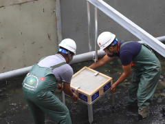 Ảnh bìa bài viết 625438