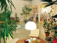 Ảnh bìa bài viết 626361