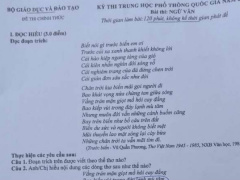Ảnh bìa bài viết 626719
