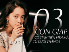 Ảnh bìa bài viết 626633