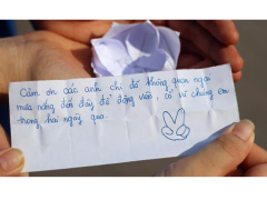 Ảnh bìa bài viết 627147