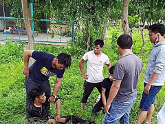 Ảnh bìa bài viết 627008