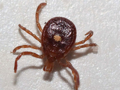 Ảnh bìa bài viết 627086