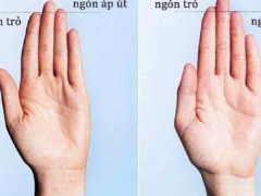 Ảnh bìa bài viết 628037