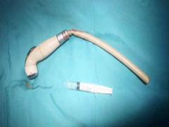 Ảnh bìa bài viết 627872