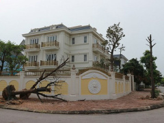 Ảnh bìa bài viết 629489