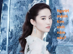 Ảnh bìa bài viết 629978