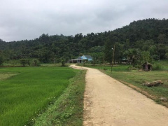 Ảnh bìa bài viết 630158