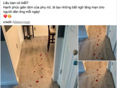 Ảnh bìa bài viết 630051