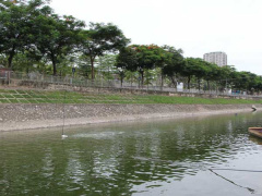 Ảnh bìa bài viết 631115