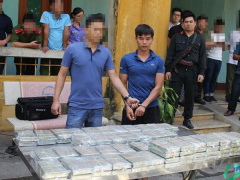 Ảnh bìa bài viết 631299