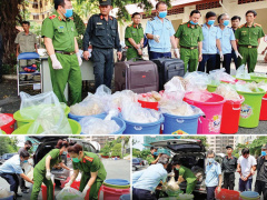 Ảnh bìa bài viết 631228