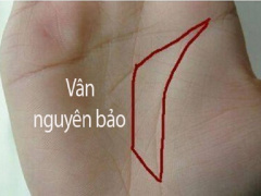 Ảnh bìa bài viết 631587