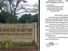 Ảnh bìa bài viết 631983