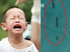 Ảnh bìa bài viết 631945