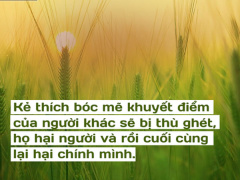 Ảnh bìa bài viết 632035