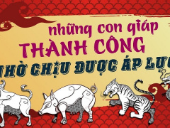 Ảnh bìa bài viết 632365