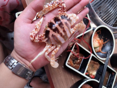 Ảnh bìa bài viết 633091