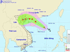 Ảnh bìa bài viết 633425