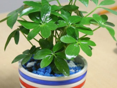 Ảnh bìa bài viết 633726