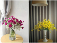 Ảnh bìa bài viết 633919
