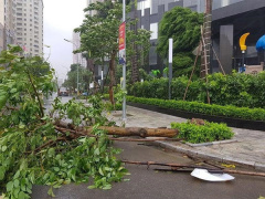 Ảnh bìa bài viết 634061