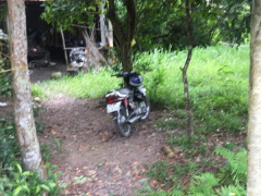 Ảnh bìa bài viết 634479