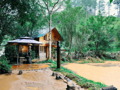 Ảnh bìa bài viết 635351