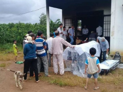 Ảnh bìa bài viết 635745