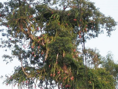 Ảnh bìa bài viết 636668