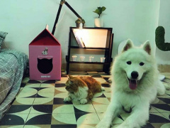 Ảnh bìa bài viết 638344