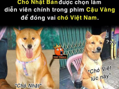 Ảnh bìa bài viết 638489