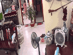Ảnh bìa bài viết 638584