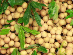 Ảnh bìa bài viết 640700