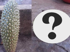 Ảnh bìa bài viết 640704