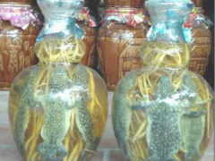 Ảnh bìa bài viết 640790