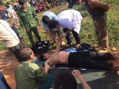 Ảnh bìa bài viết 641007