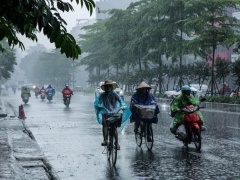 Ảnh bìa bài viết 641548