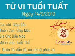 Ảnh bìa bài viết 641958