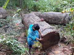 Ảnh bìa bài viết 642458
