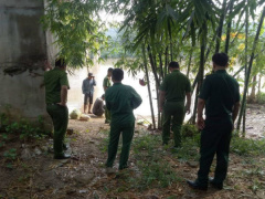 Ảnh bìa bài viết 643045