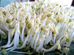 Ảnh bìa bài viết 643191