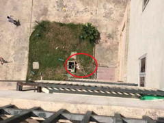 Ảnh bìa bài viết 643642