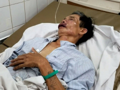 Ảnh bìa bài viết 644674