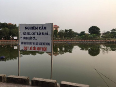 Ảnh bìa bài viết 645056