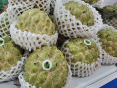 Ảnh bìa bài viết 645106