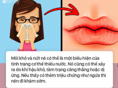 Ảnh bìa bài viết 645268