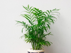 Ảnh bìa bài viết 645371